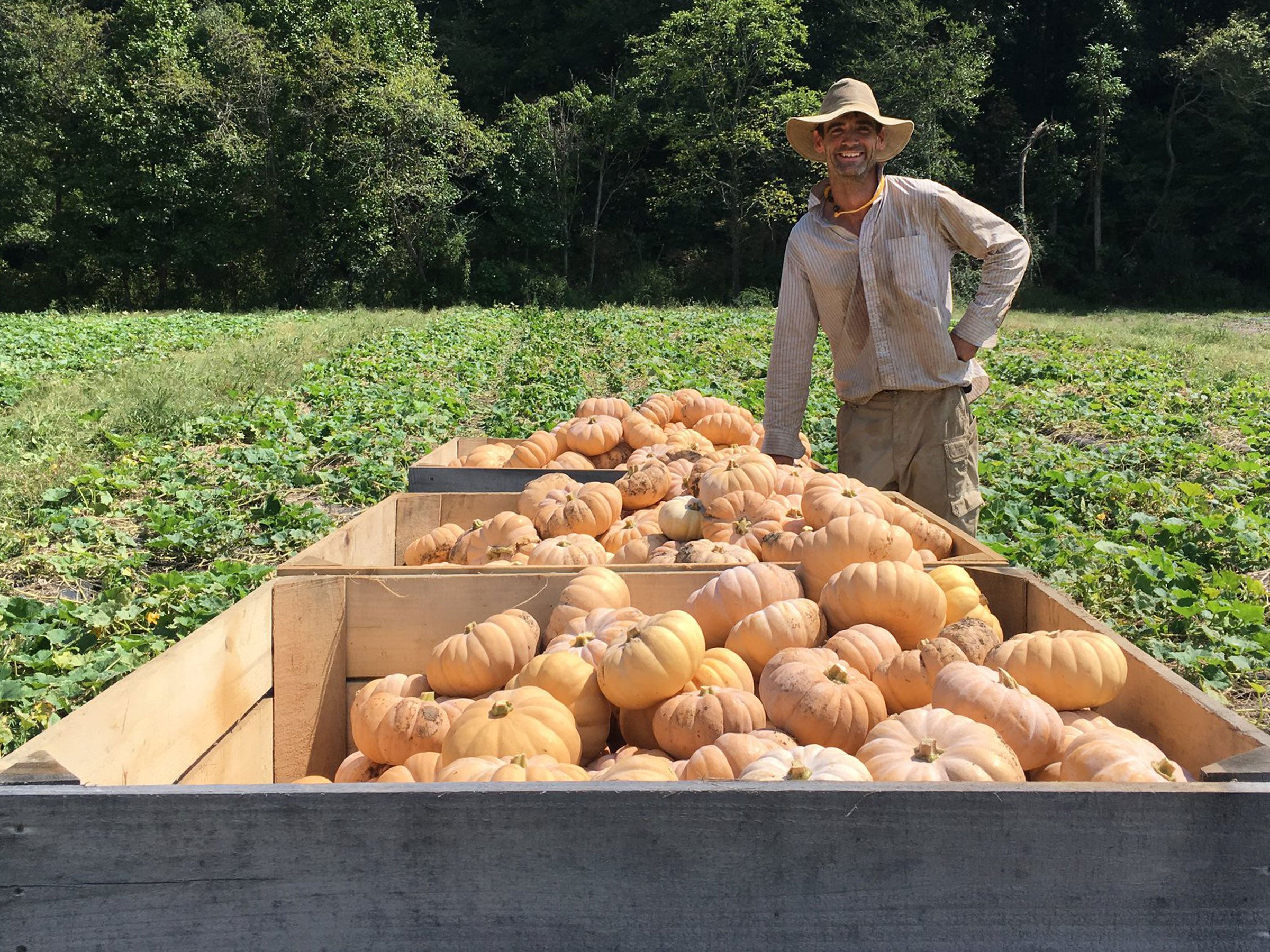 Clem's Organic Gardens