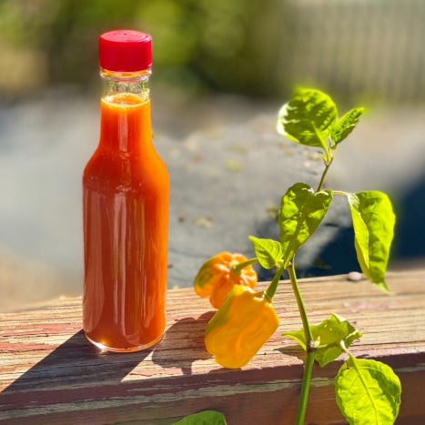 Everyday Hot Sauce You Can Make at Home