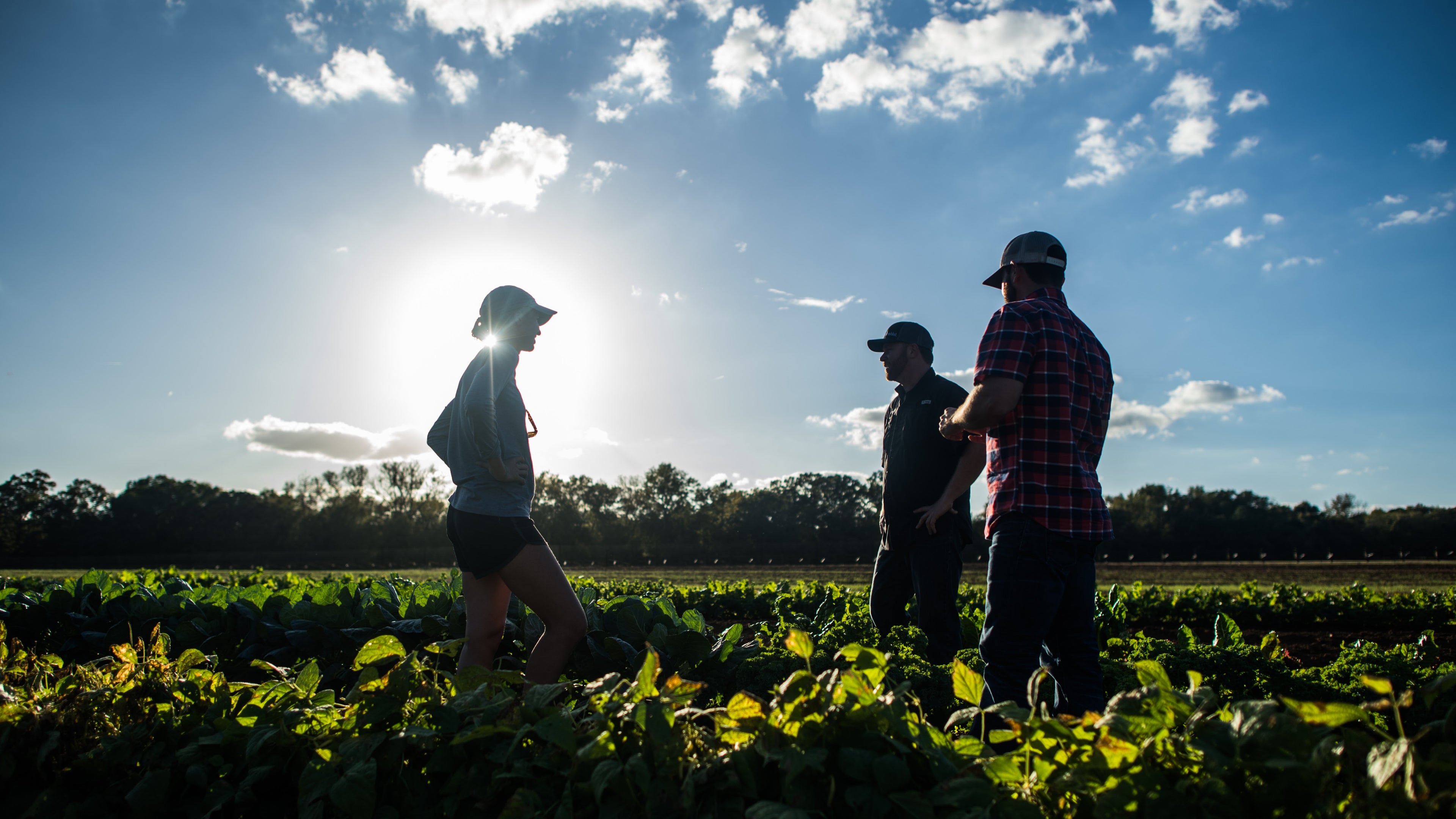 Wild Hope Farm