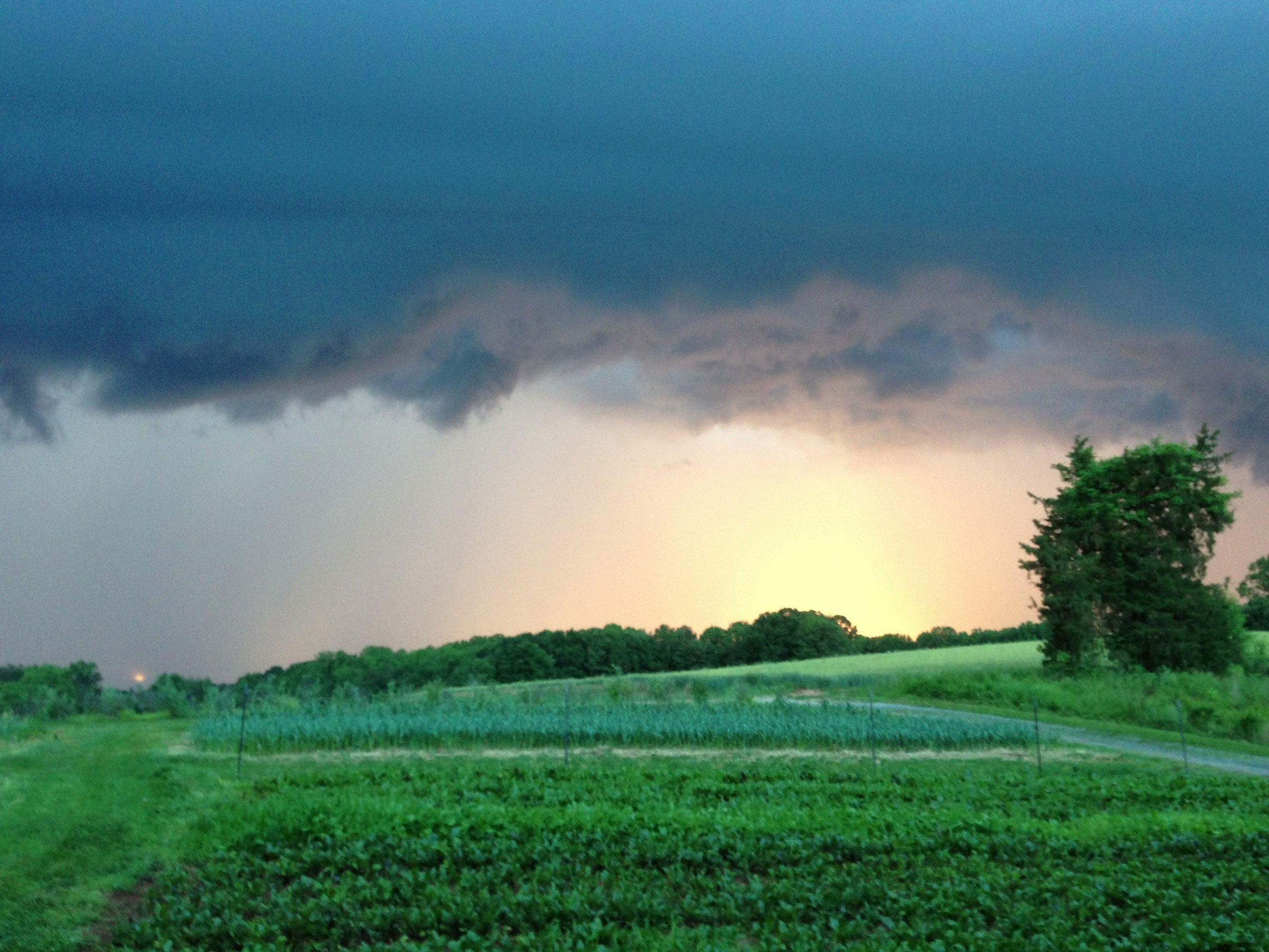 Harmony Ridge Farms