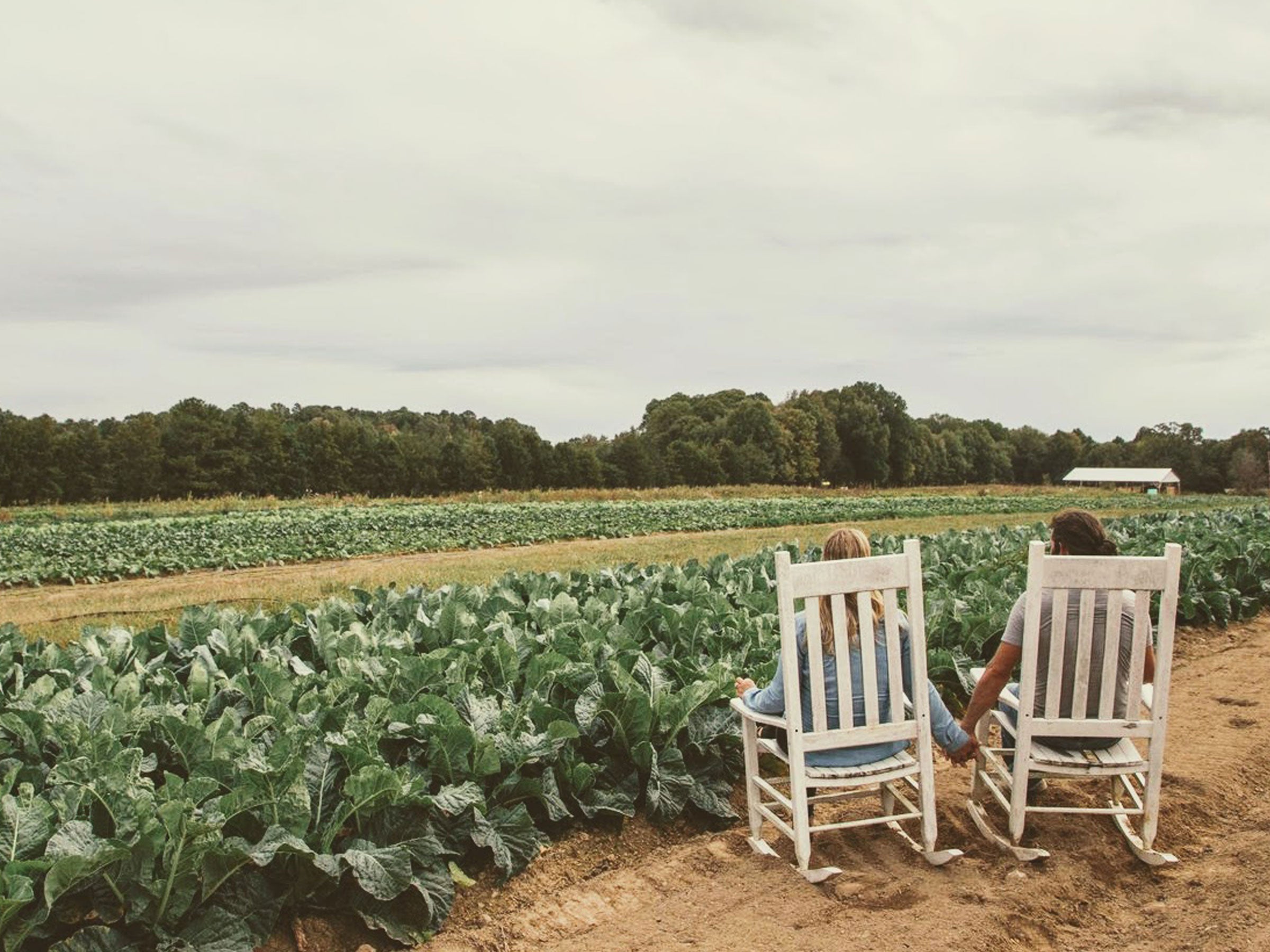 Boy and Girl Farm