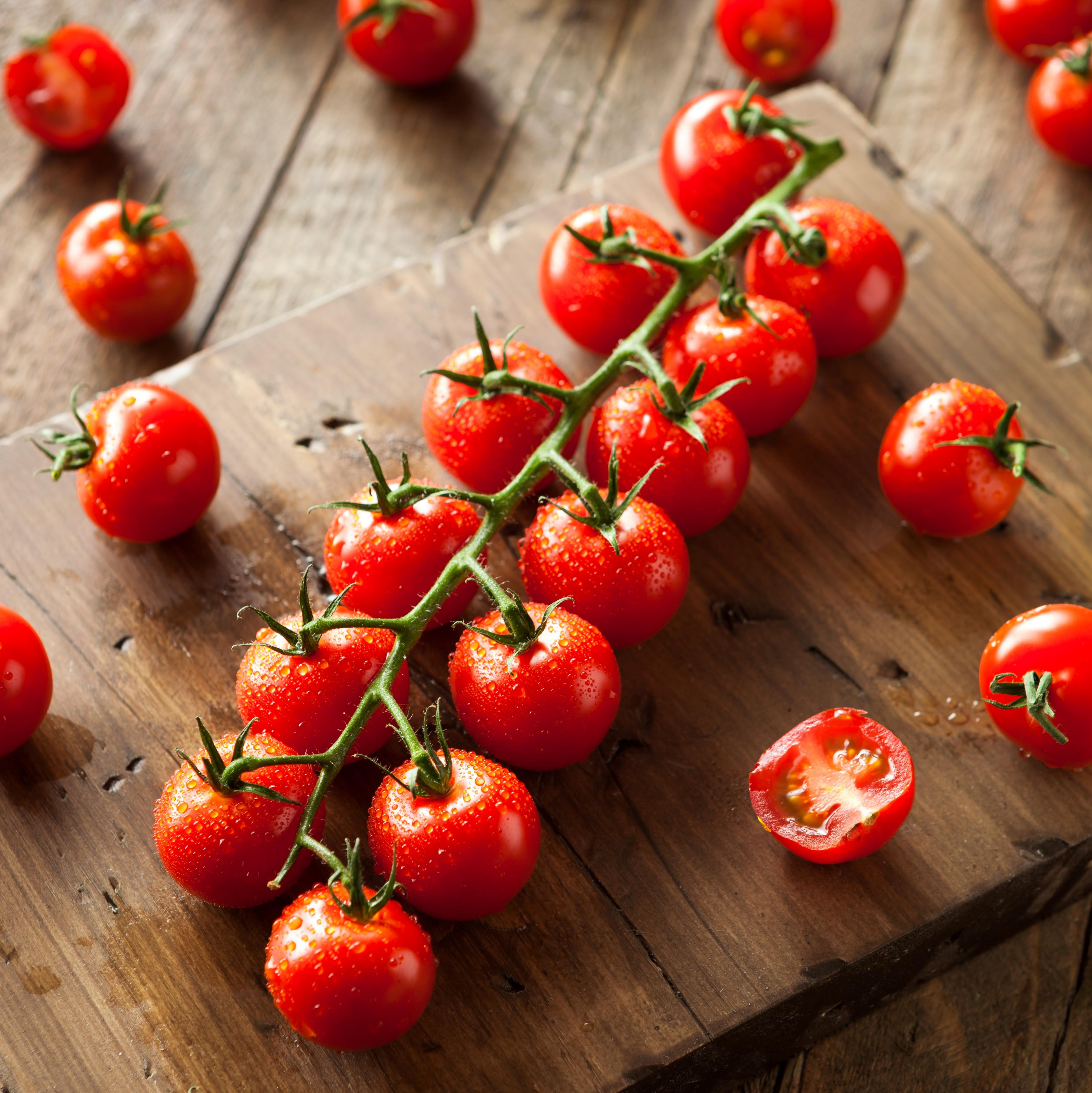 Hot Tomato Summer