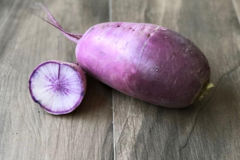 Purple Radish